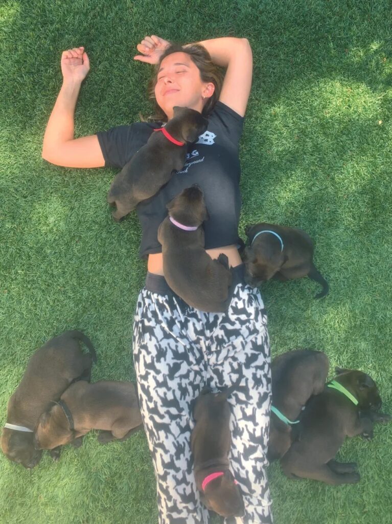 Victoria lying on grass with a full litter of eight puppies - Love, Dog