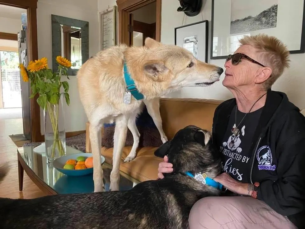 Image of a white husky standing on the couch about to give de Rita a kiss