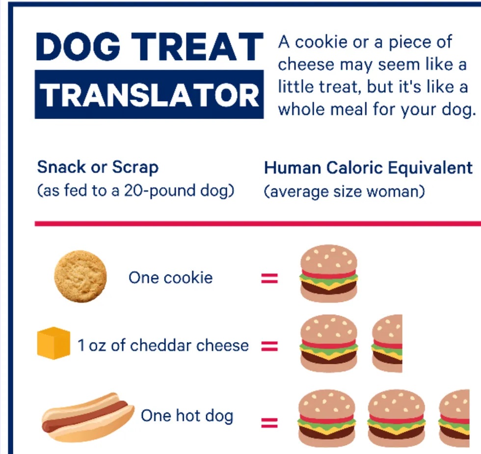 Dog treat calorie chart